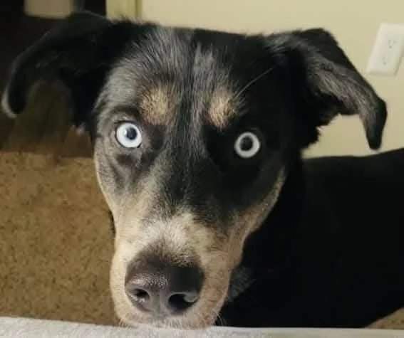 Lucy  Full Of thumbnail 2