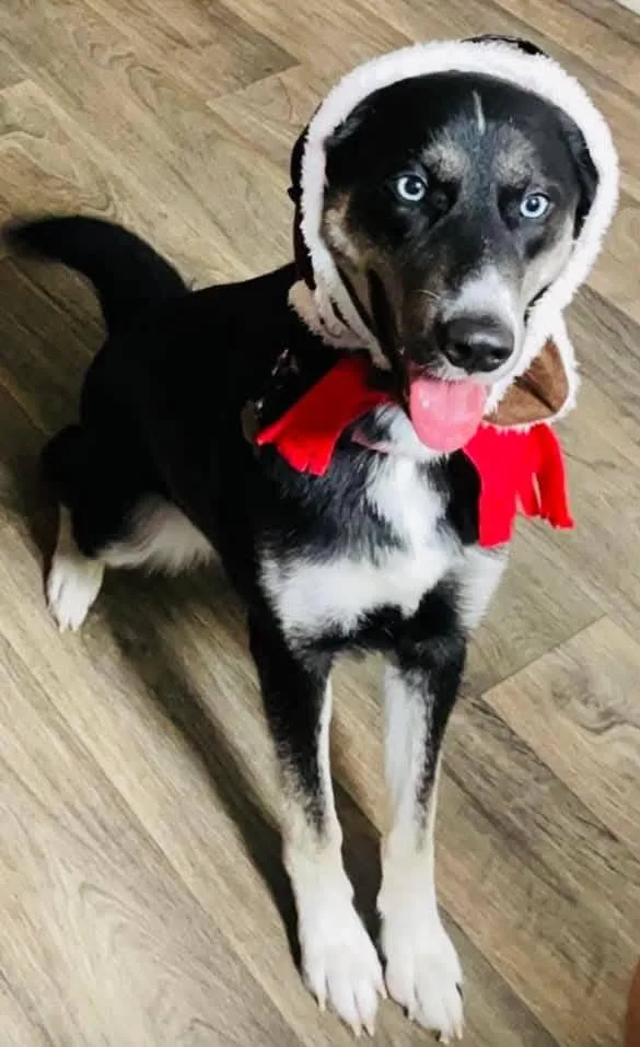 Lucy  Full Of thumbnail 3