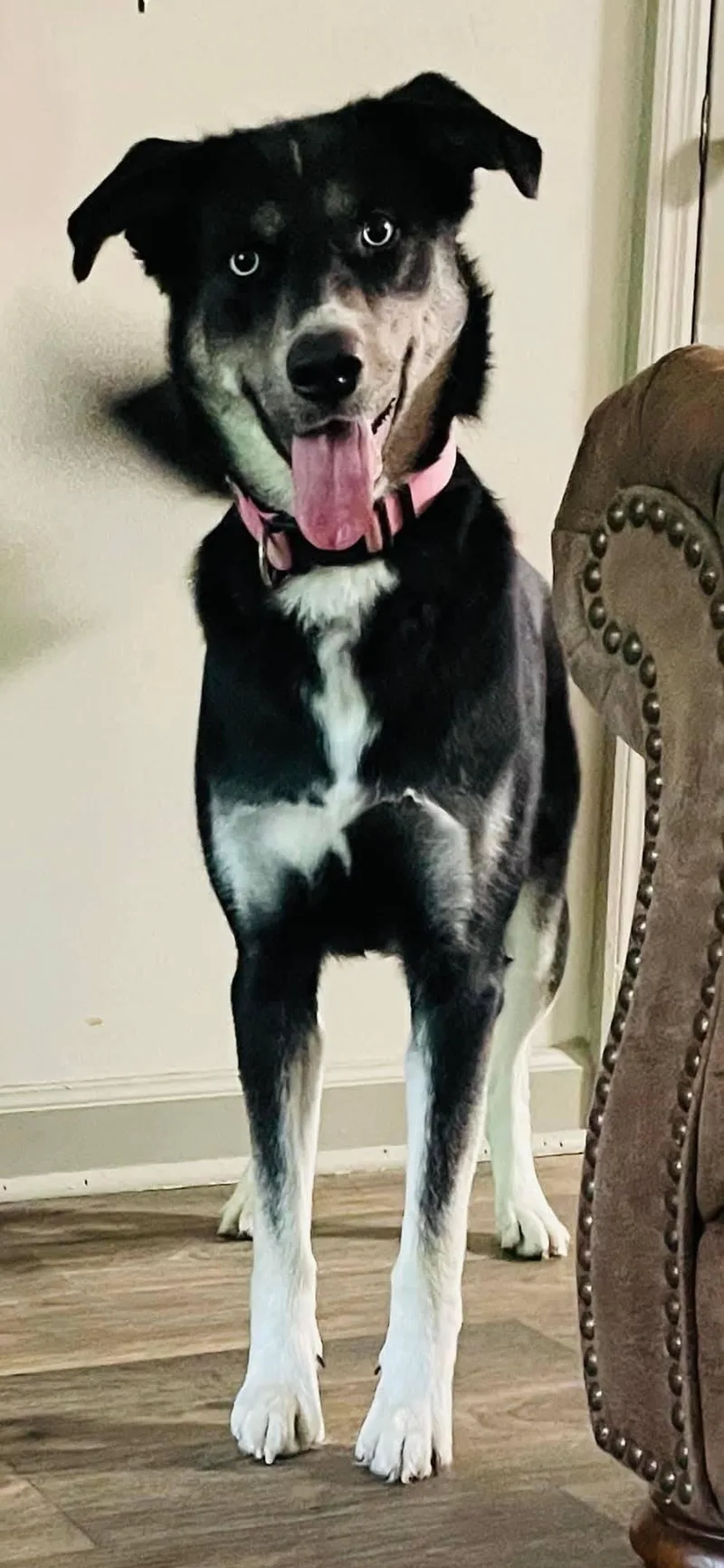 Lucy  Full Of thumbnail 5