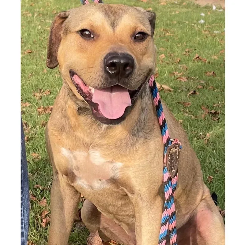 Soccer Boy thumbnail 3