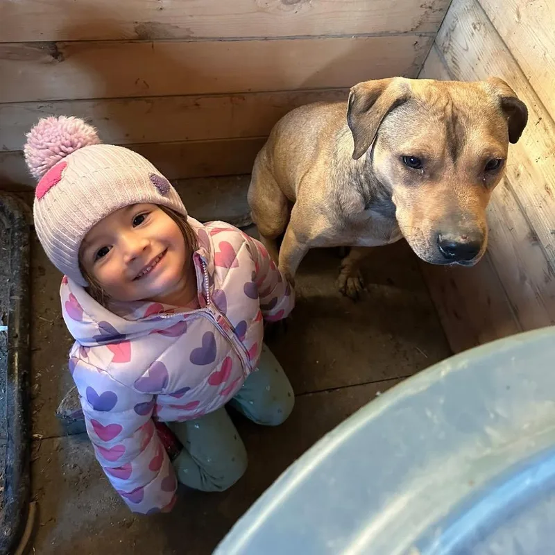 Soccer Boy thumbnail 5