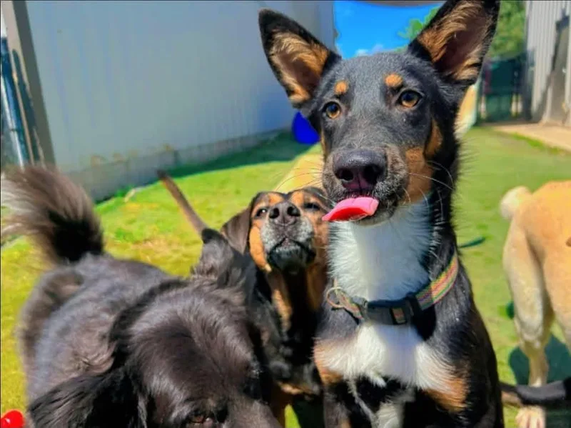 Bing thumbnail 2