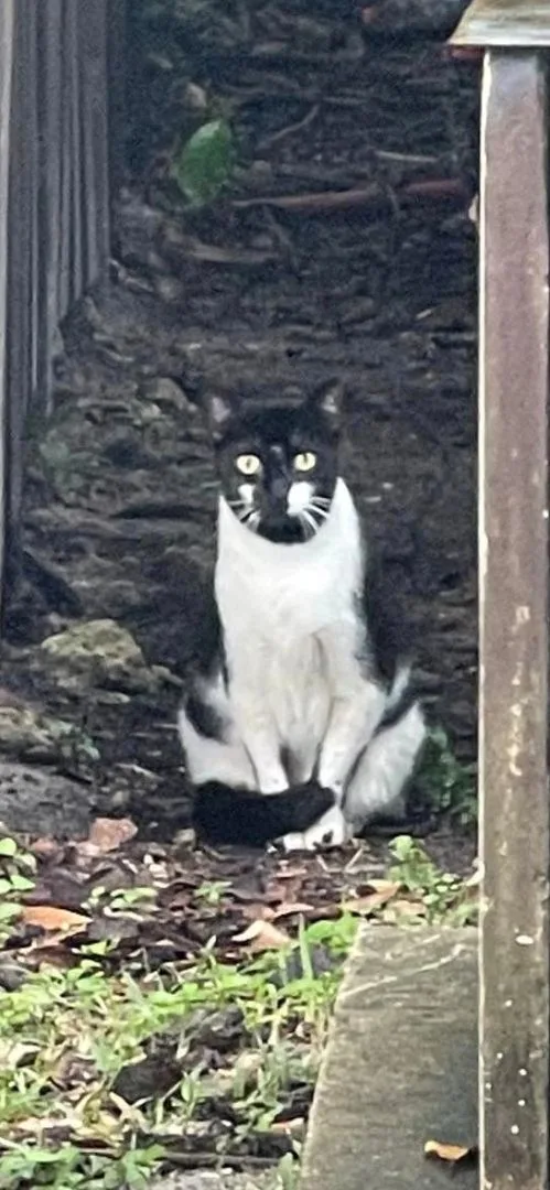 Funny Face thumbnail 2