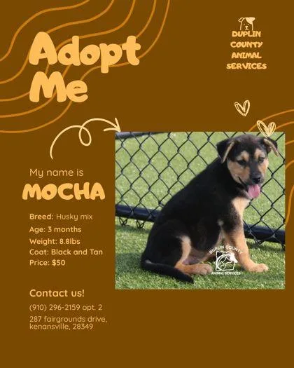 Mocha