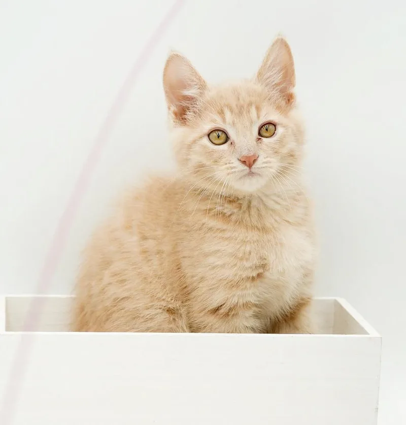 Bud Is A Baby thumbnail 3