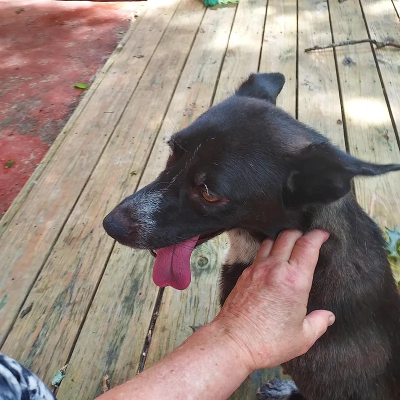 Misty Mistique thumbnail 2