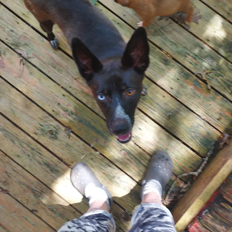 Misty Mistique thumbnail 3