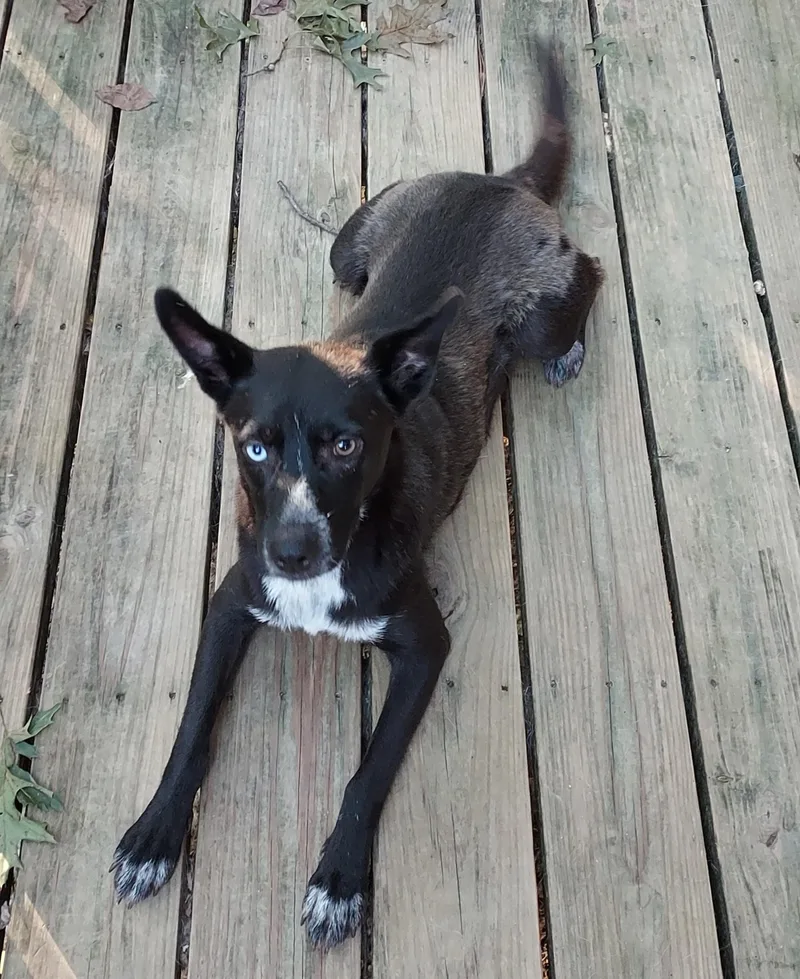 Misty Mistique thumbnail 4