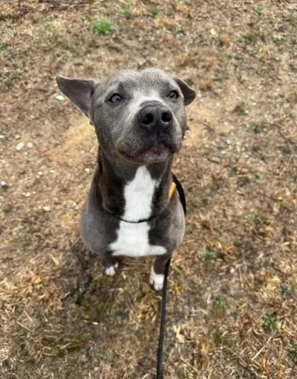 Daisy Duck thumbnail 3