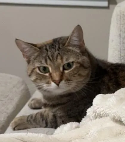 Zoey thumbnail 3