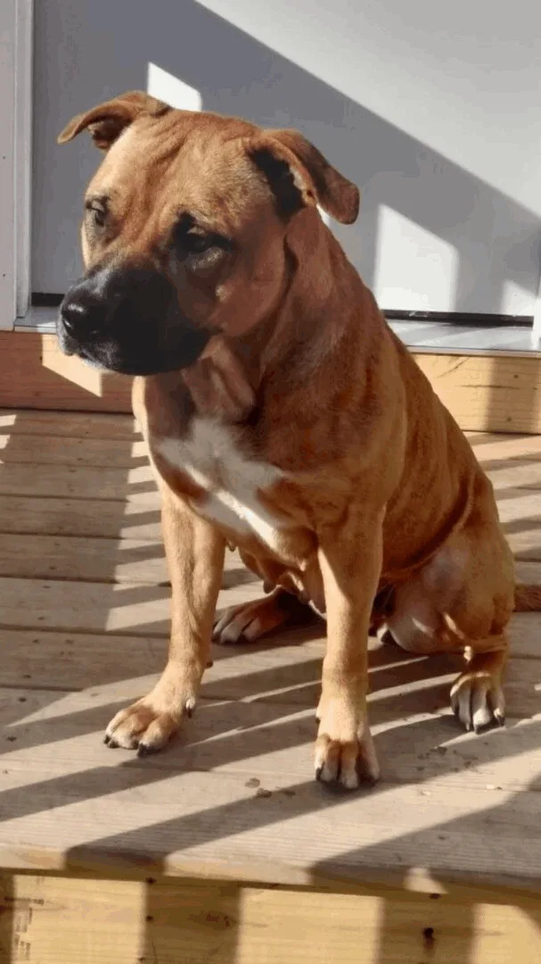 Virginia thumbnail 2