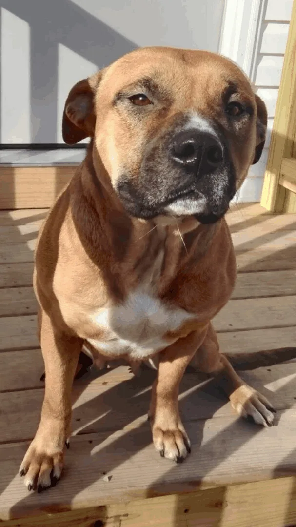 Virginia thumbnail 3