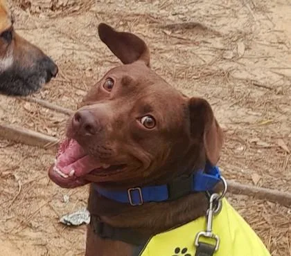 Letterman thumbnail 2