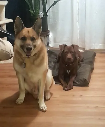 Letterman thumbnail 3