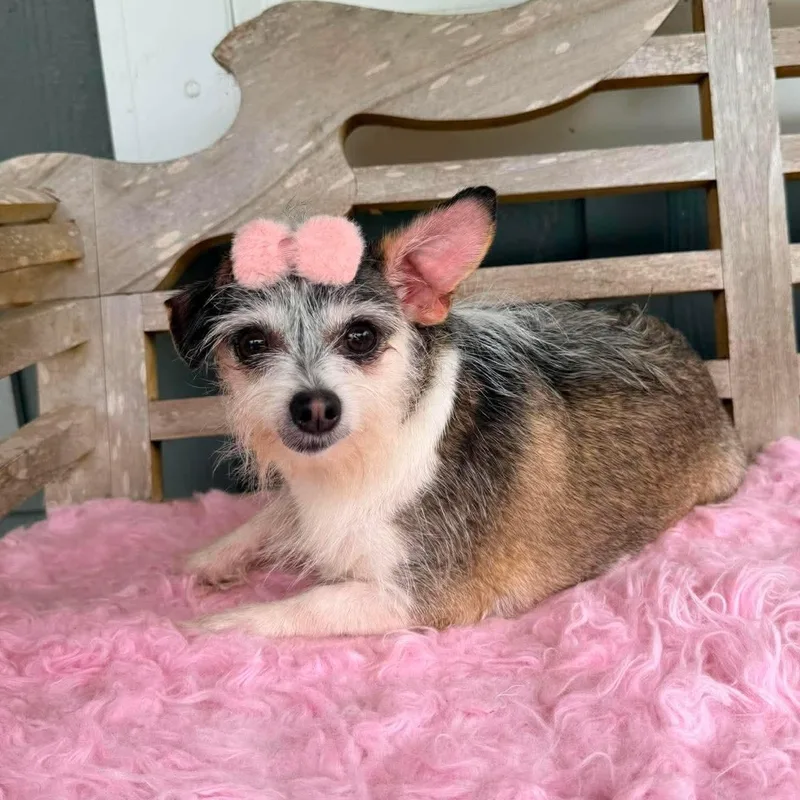Nola Mae thumbnail 2