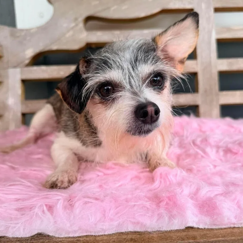 Nola Mae thumbnail 3