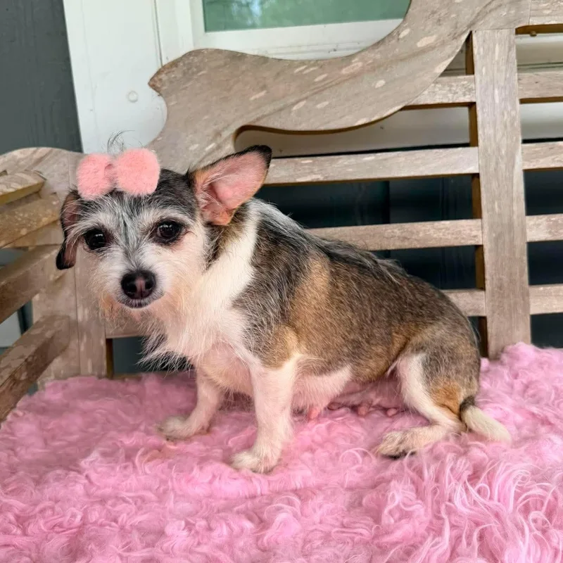 Nola Mae thumbnail 5