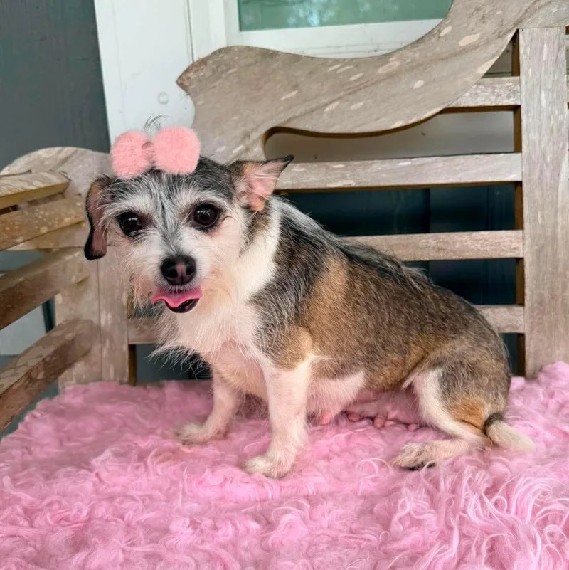 Nola Mae thumbnail 6