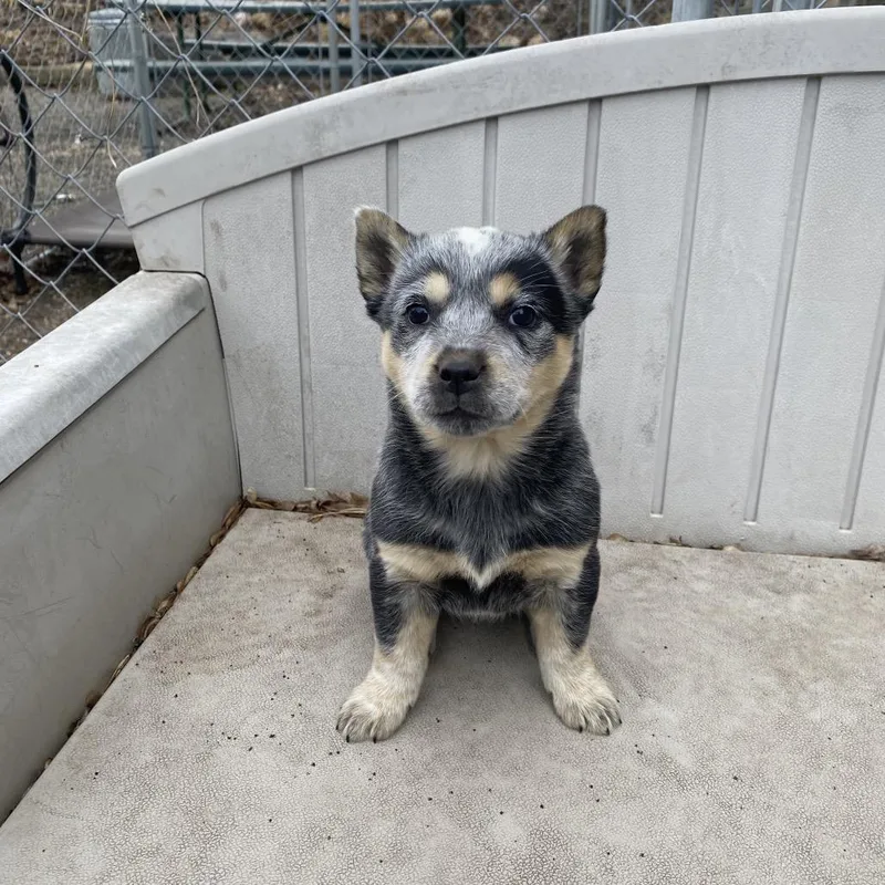 Miley Stewart thumbnail 2