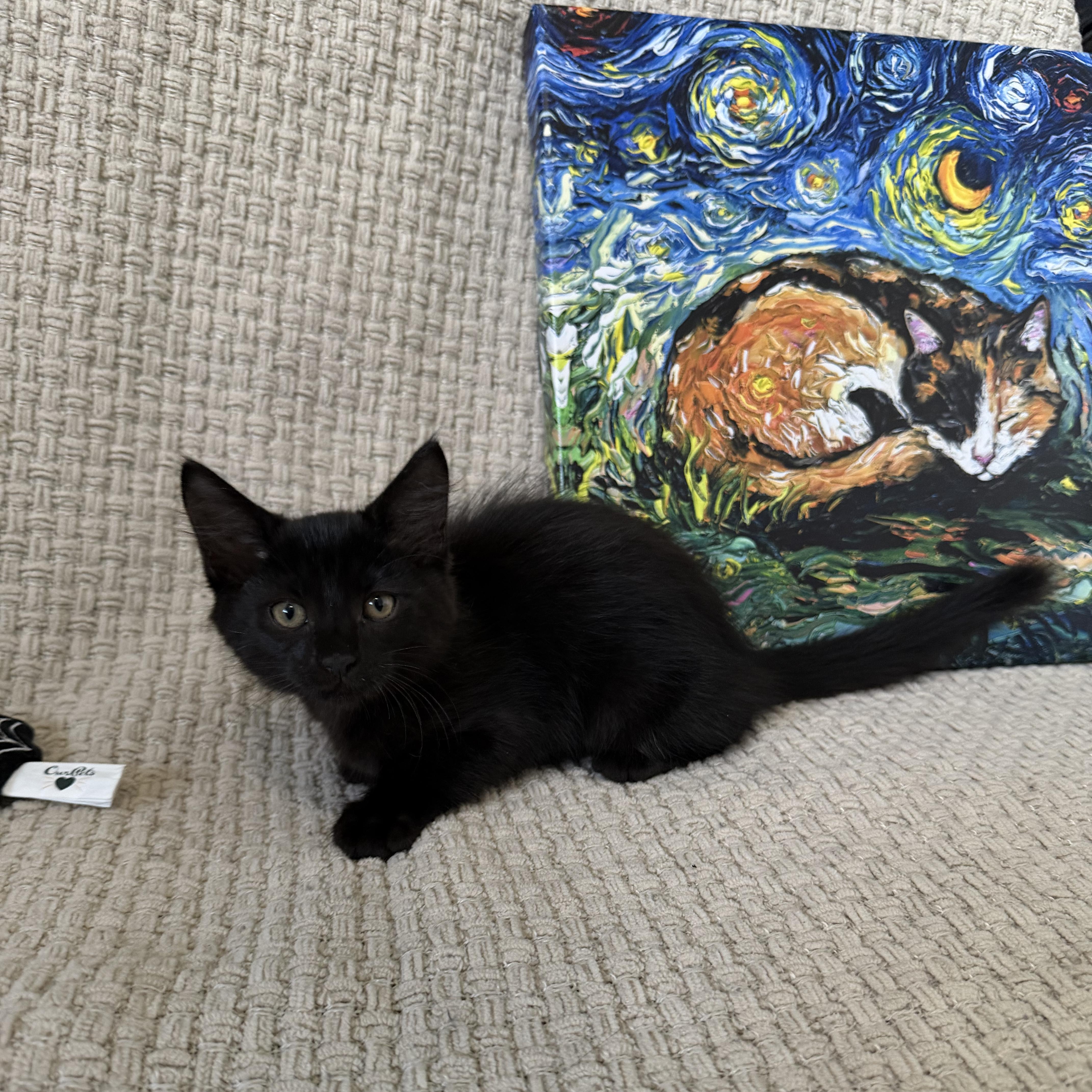 Salem thumbnail 3