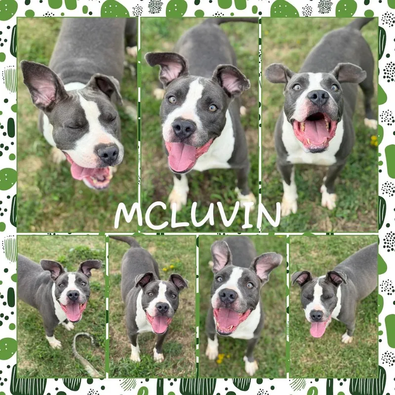 Mcluvin