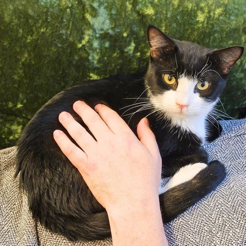 Tito Too thumbnail 2