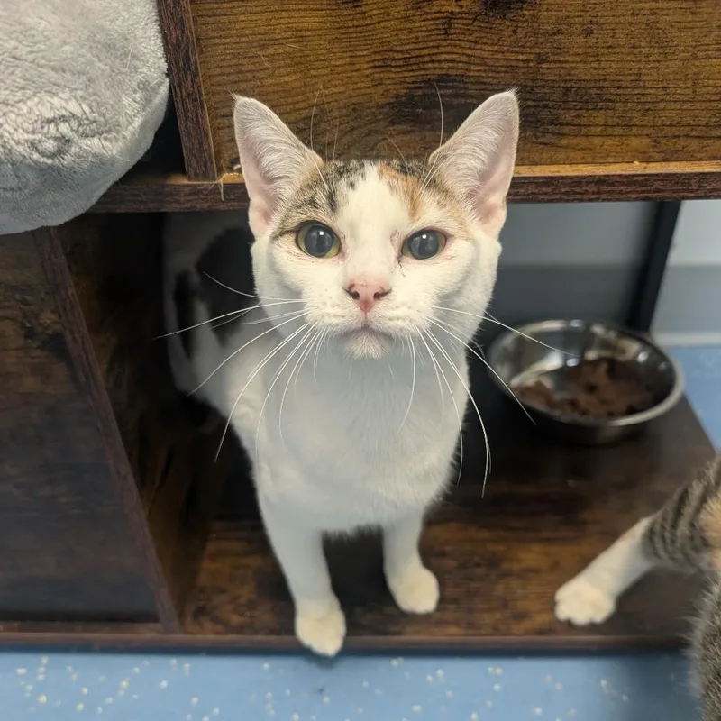 Donna Jo thumbnail 2