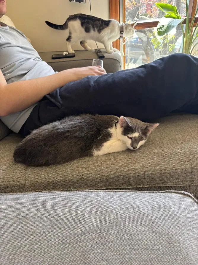 Francisco Goya thumbnail 3