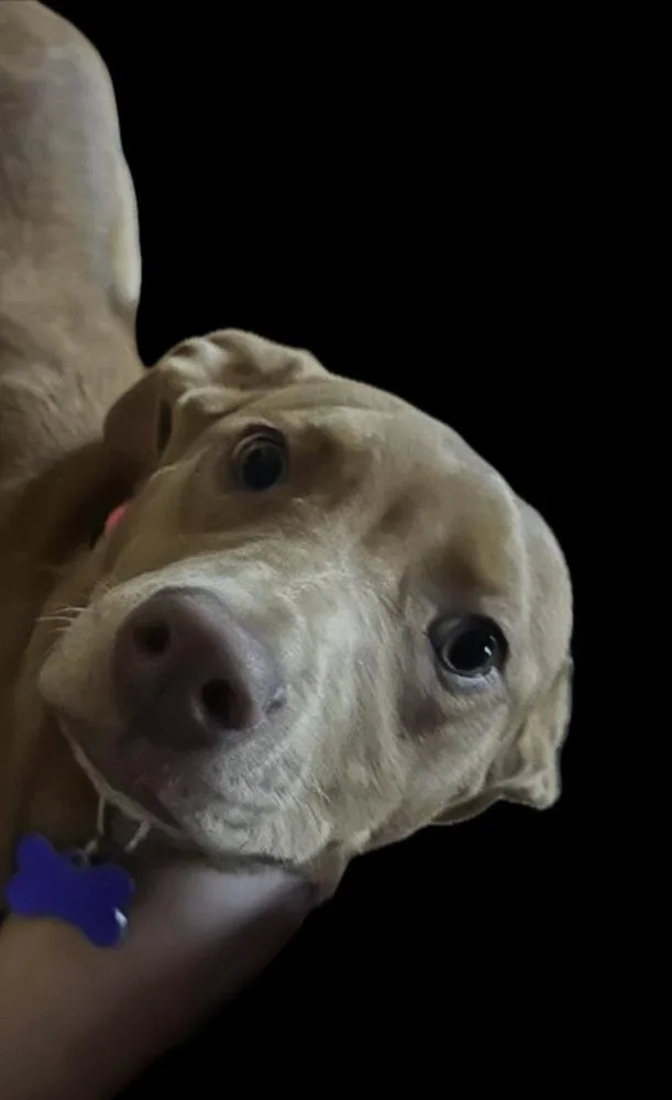 Lucy Bumble thumbnail 5