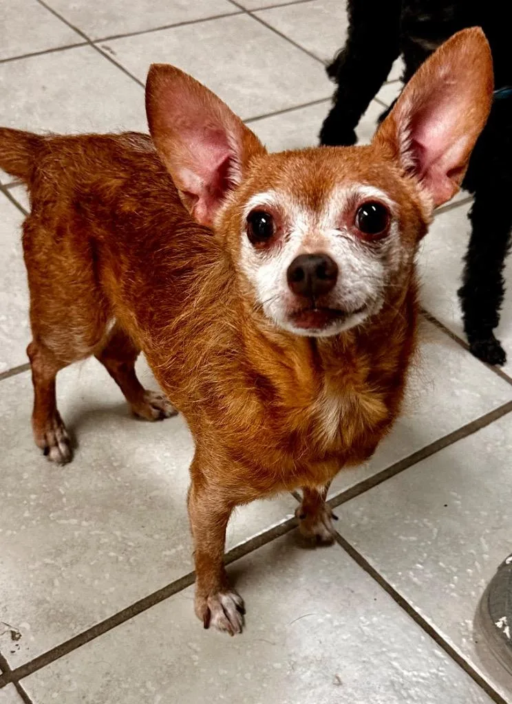 Reuger Paul thumbnail 2