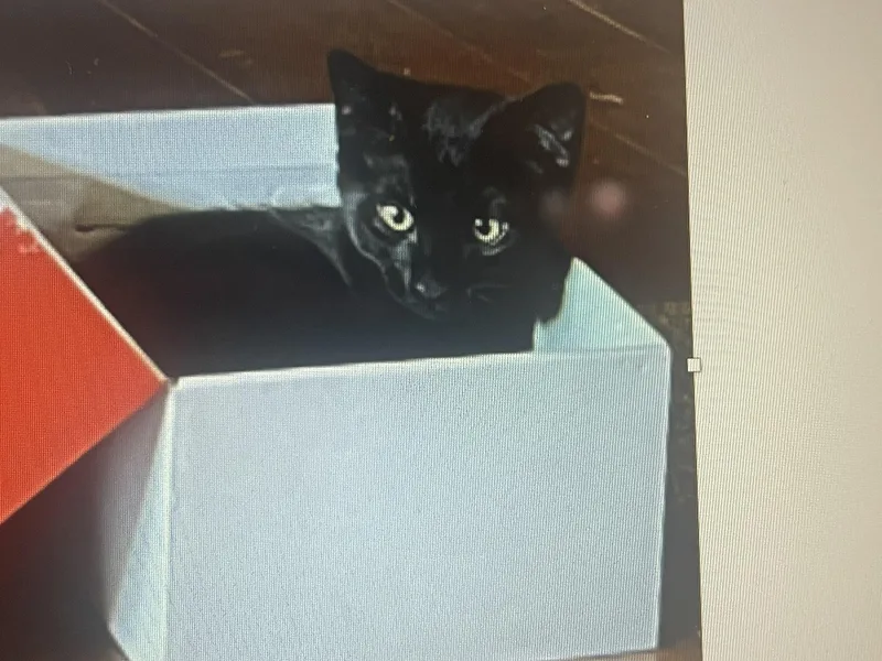 Cubby