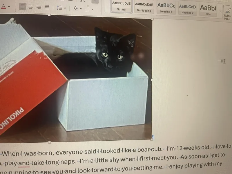 Cubby thumbnail 2