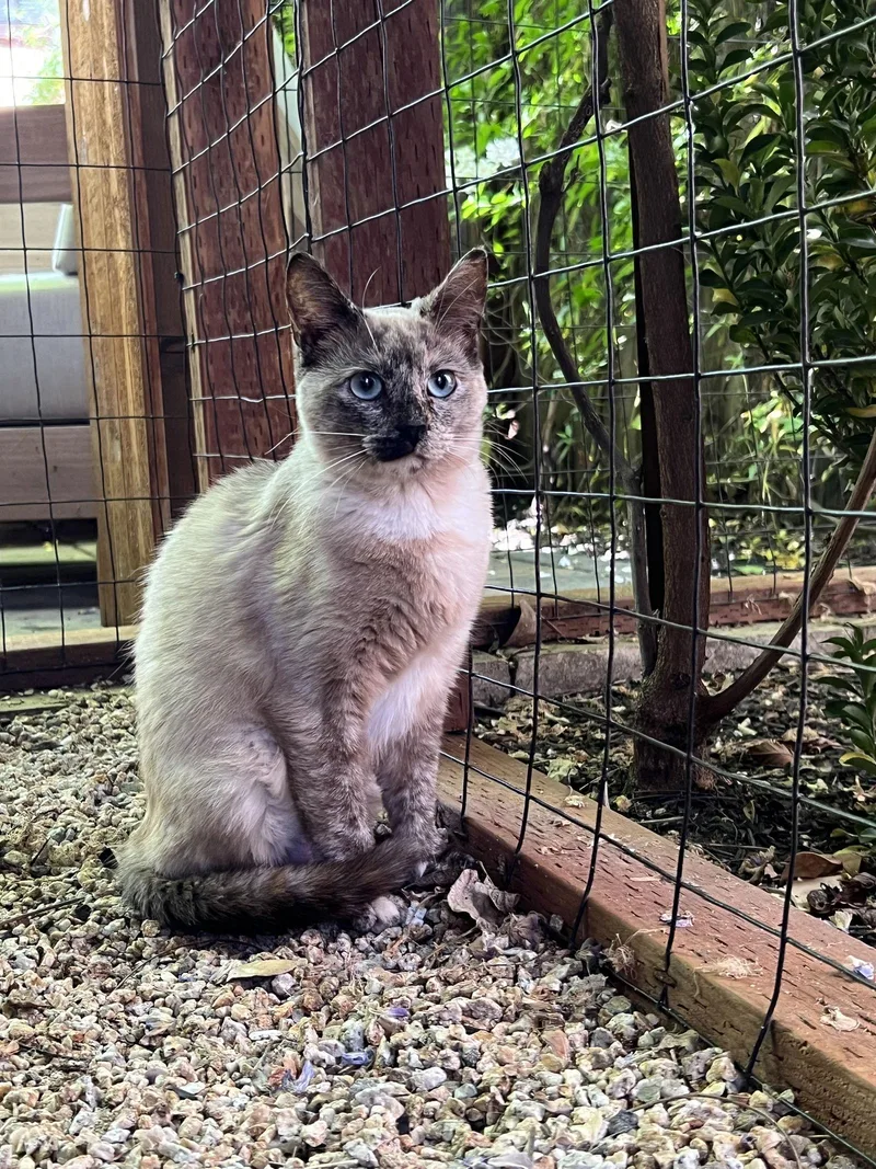 Marshmellow And Maisy