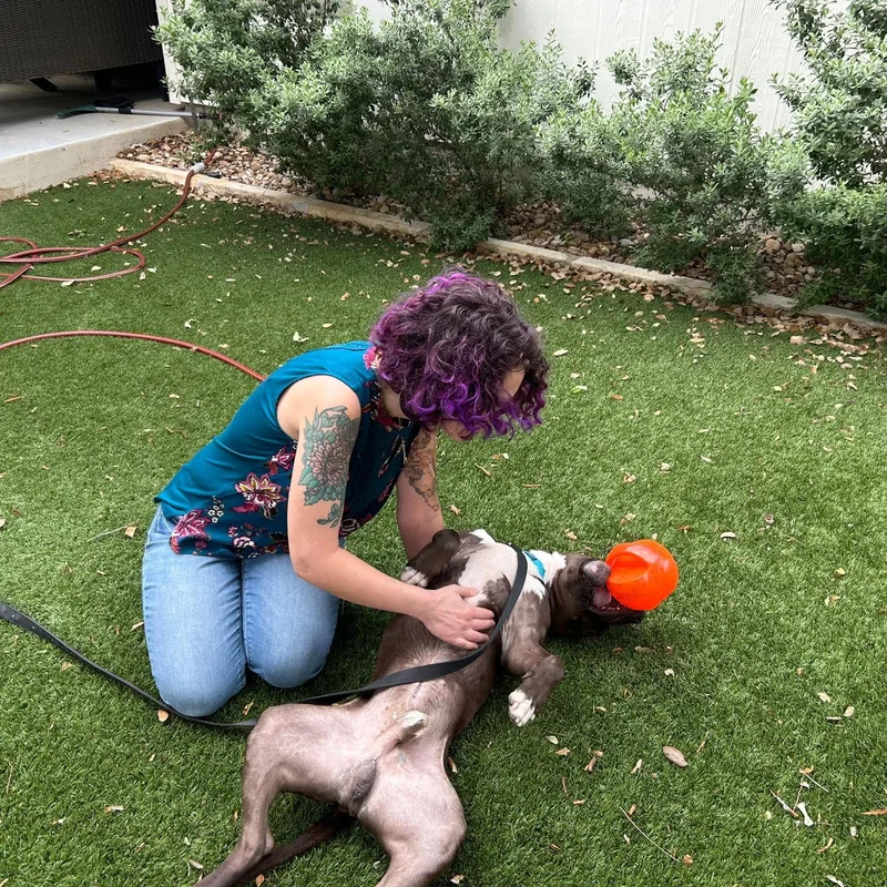 Dr. Wiggles thumbnail 2