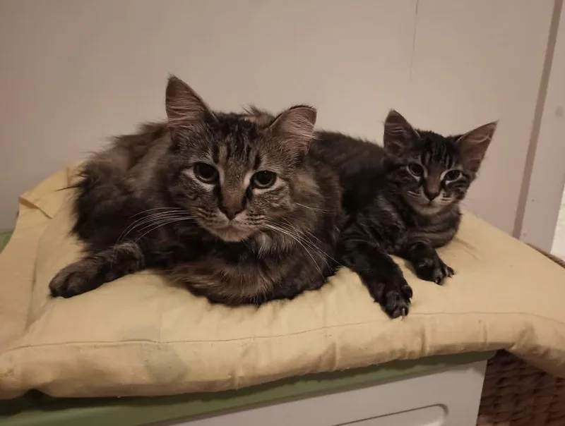 Beatrix & Cricket