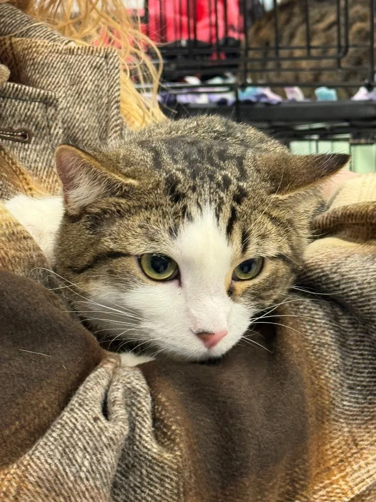 Riley Bonded With Scarlet