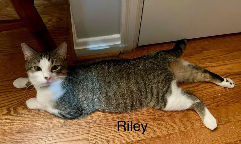 Riley Bonded With Scarlet thumbnail 5