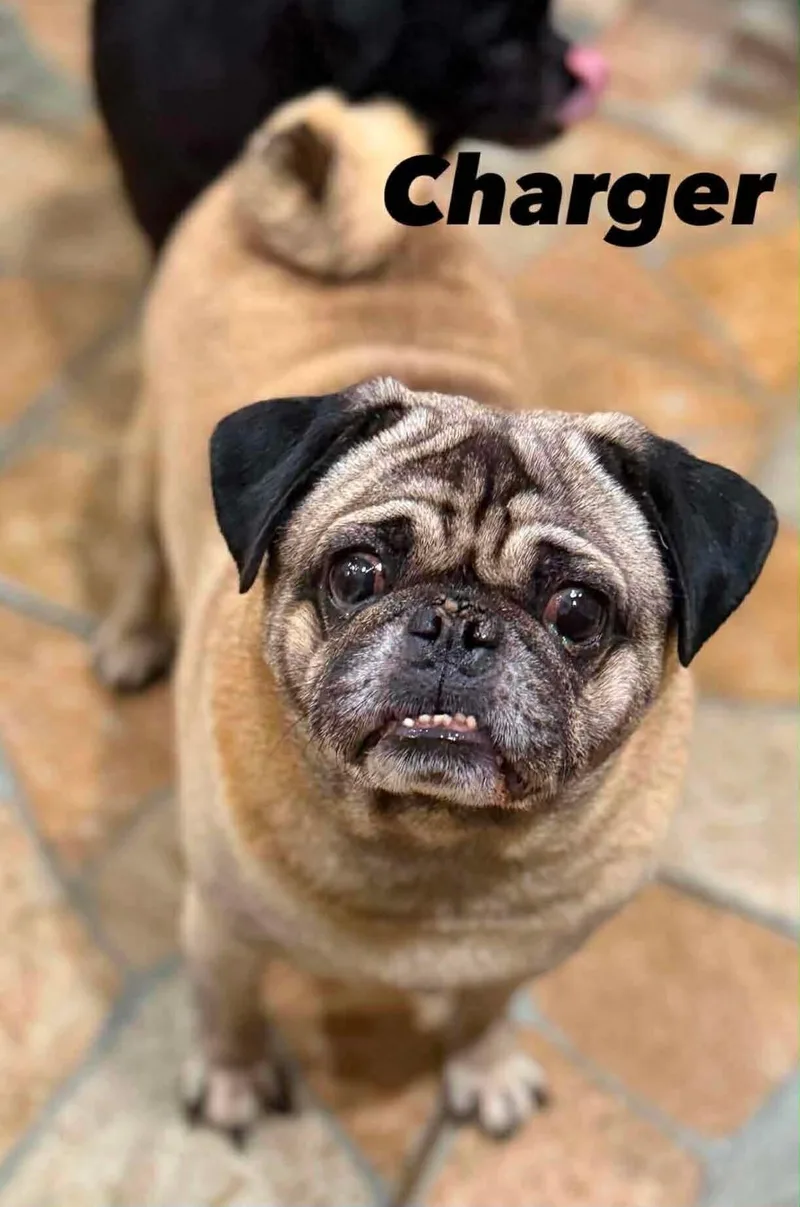 Charger
