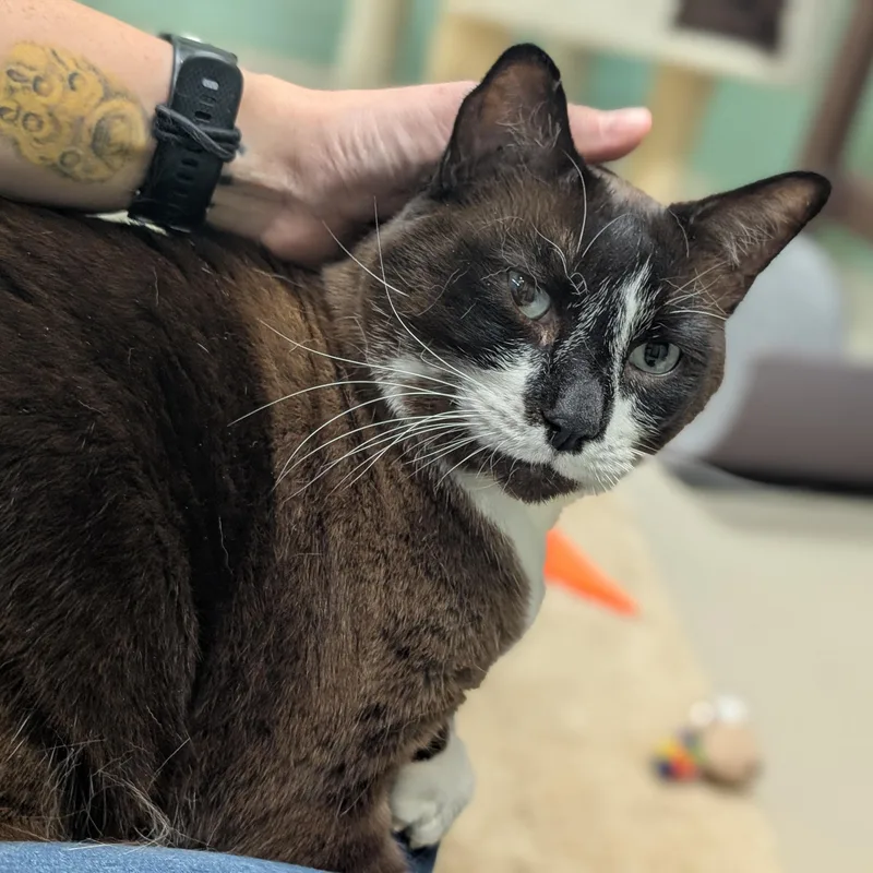 Mr. Whiskers thumbnail 2