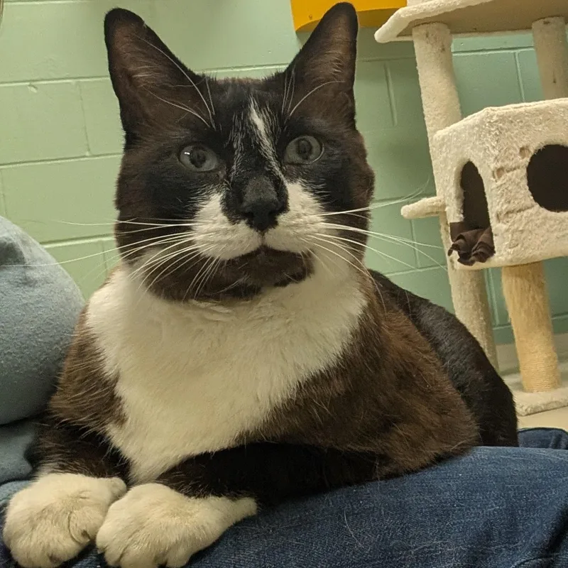Mr. Whiskers thumbnail 5