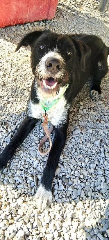 Wilbur thumbnail 5