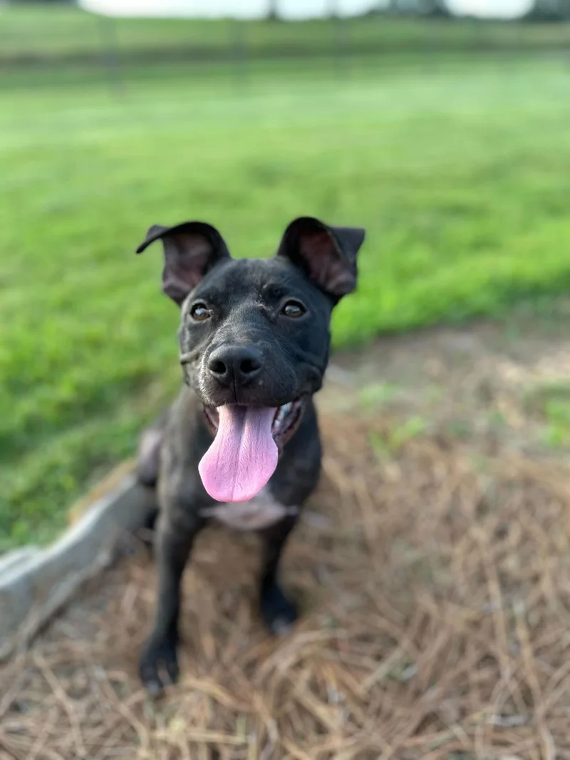 Sage May thumbnail 2