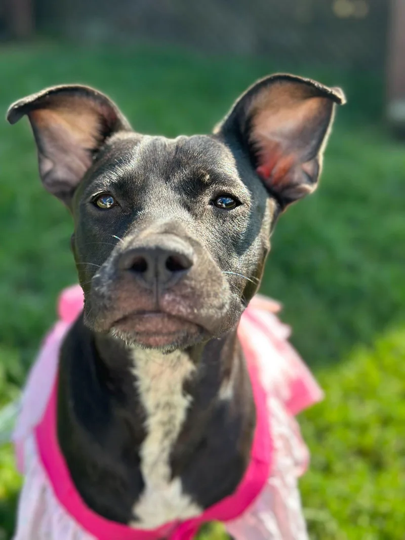 Sage May thumbnail 3