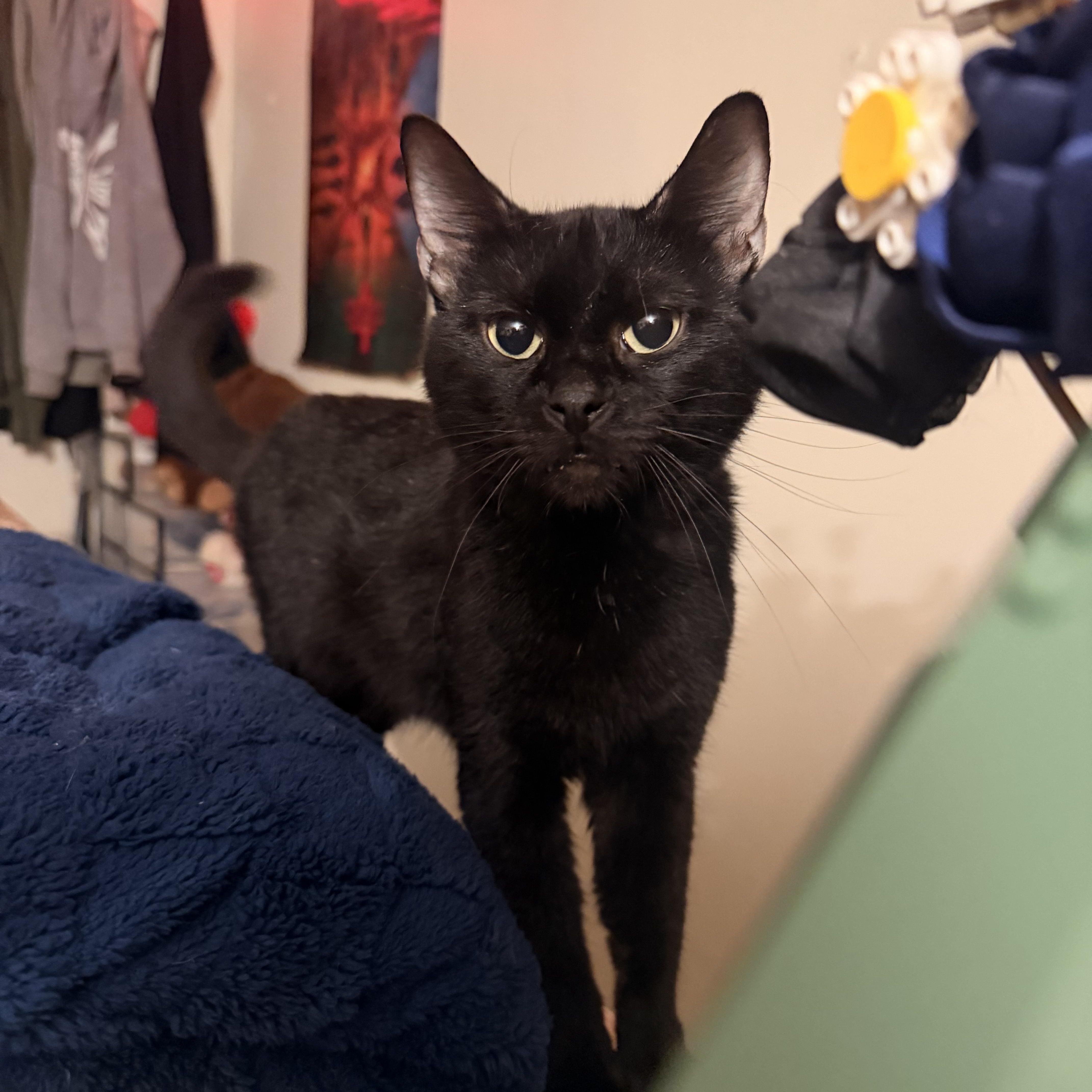 Salem