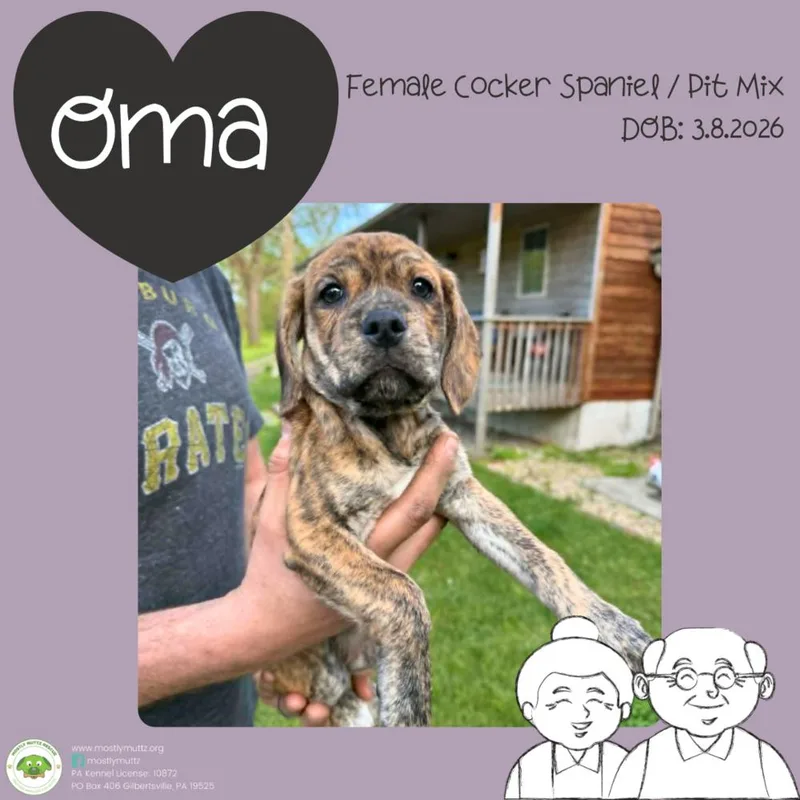 Oma thumbnail 4