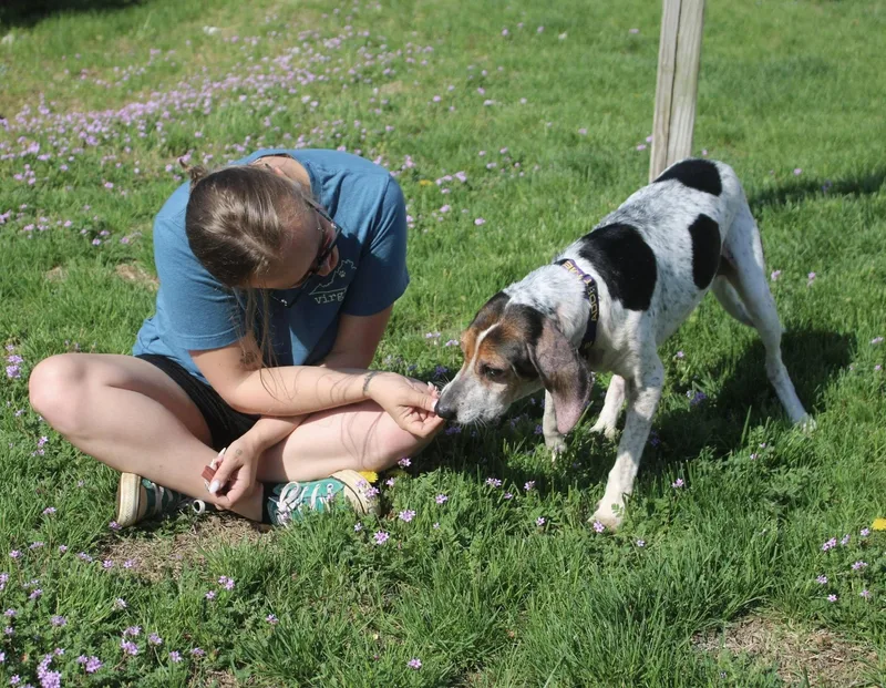 HOSPICE Holly thumbnail 4