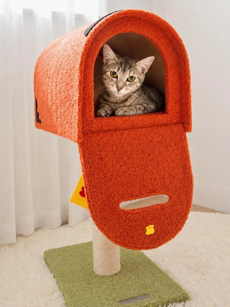 A baby small-sized female Domestic Short Hair cat named Tana for adoption in Sebastian, FL
