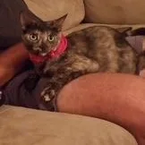 Harlee And Marlee thumbnail 2