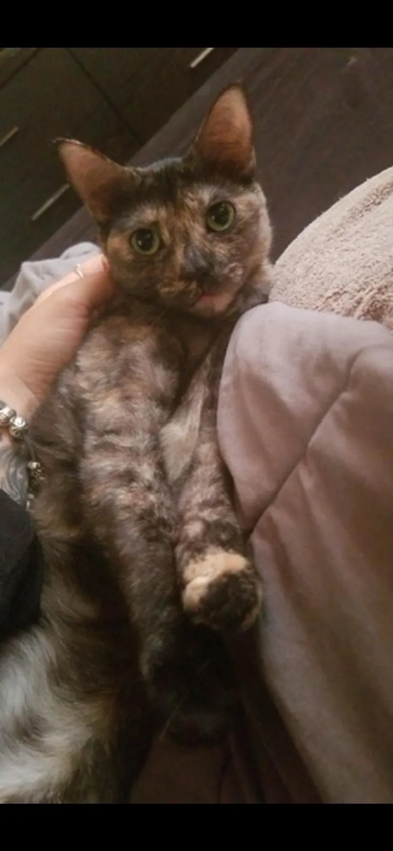 Harlee And Marlee thumbnail 3