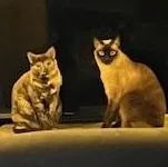 Harlee And Marlee thumbnail 4